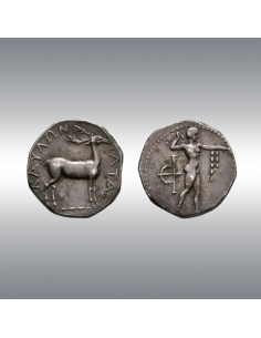 Kaulonia, Nomos @ Hermitage Museum duplicate