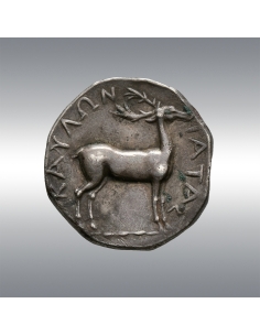 Kaulonia, Nomos @ Hermitage Museum duplicate 2