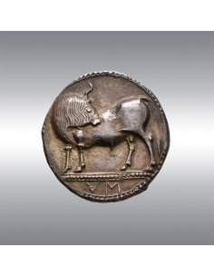 Sybaris, Stater @ ca. 550-510 BC 2