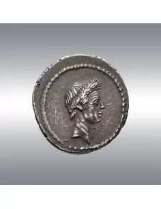 Julius Caesar, Denarius @ Merzbacher (1909) 2