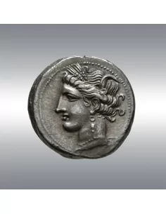 Carthage, Shekel 300-264 BC @ Sternberg VIII (1978) 2