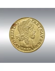 Louis XIII, Louis d'or @ à la mèche longue 1641A 2